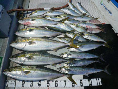 オーシャンスター(Ocean Star) …