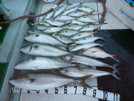 オーシャンスター(Ocean Star) …