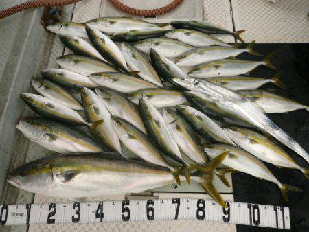 オーシャンスター(Ocean Star) …