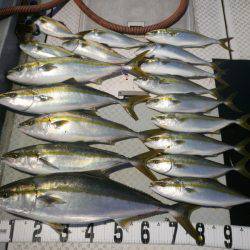 オーシャンスター(Ocean Star) 釣果