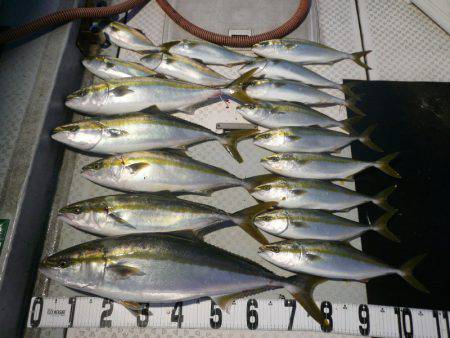 オーシャンスター(Ocean Star) …