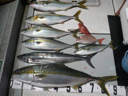 オーシャンスター(Ocean Star) …