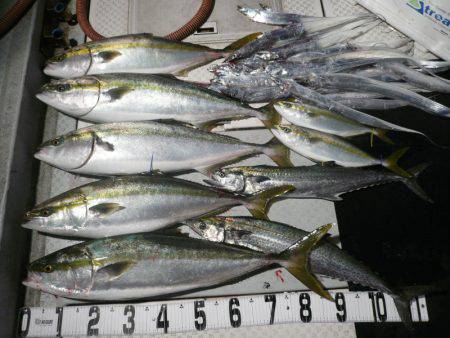 オーシャンスター(Ocean Star) …