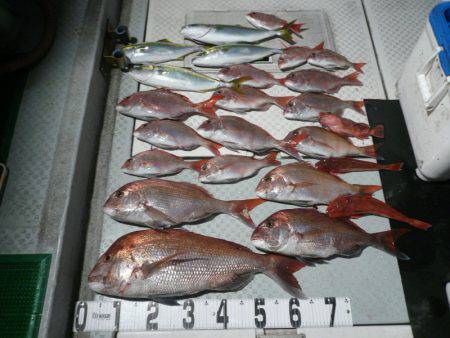 オーシャンスター(Ocean Star) …