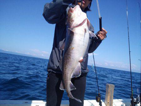 ひな丸 釣果