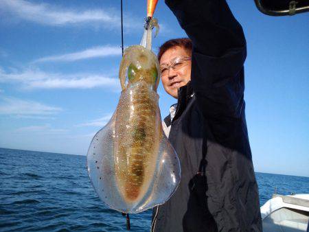 ひな丸 釣果