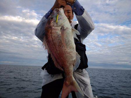 ひな丸 釣果