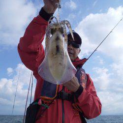 ひな丸 釣果