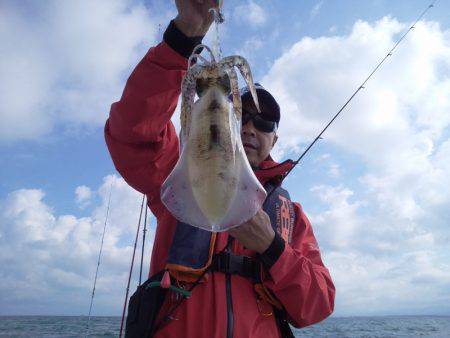 ひな丸 釣果