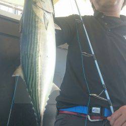 シースナイパー海龍 釣果