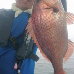 シースナイパー海龍 釣果