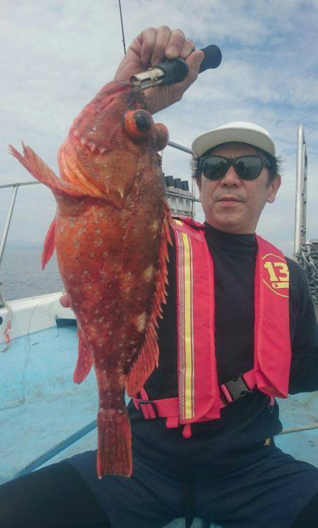 シースナイパー海龍 釣果