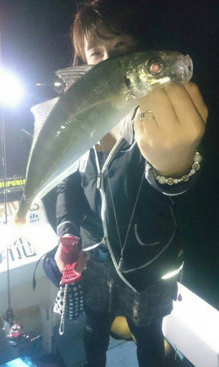 シースナイパー海龍 釣果