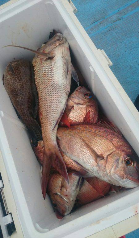 シースナイパー海龍 釣果