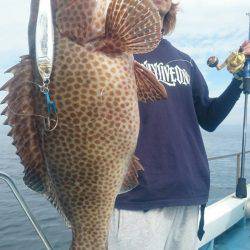 シースナイパー海龍 釣果