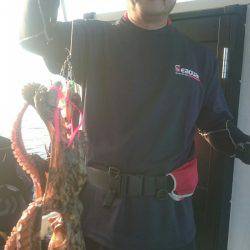 シースナイパー海龍 釣果