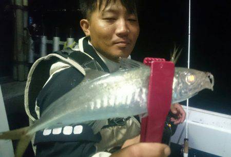 シースナイパー海龍 釣果