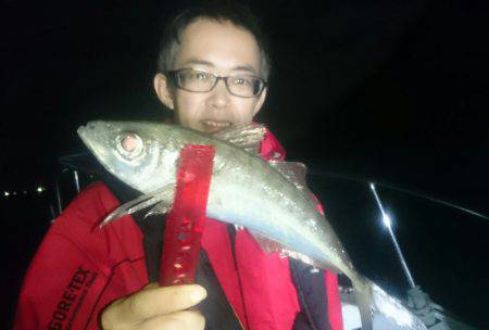 シースナイパー海龍 釣果