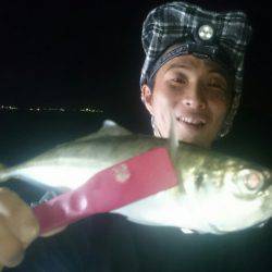 シースナイパー海龍 釣果