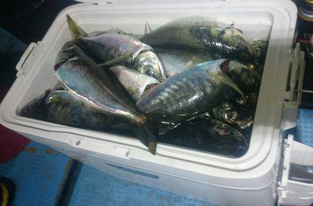 シースナイパー海龍 釣果