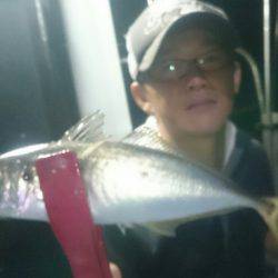 シースナイパー海龍 釣果