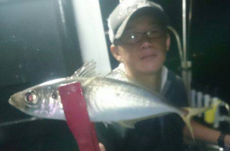 シースナイパー海龍 釣果