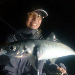 シースナイパー海龍 釣果