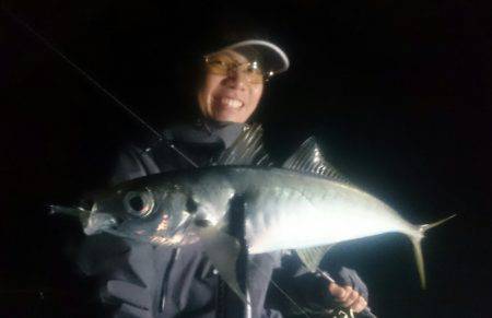 シースナイパー海龍 釣果