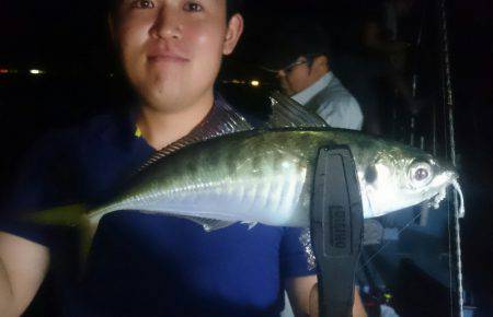 シースナイパー海龍 釣果