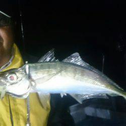 シースナイパー海龍 釣果