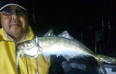 シースナイパー海龍 釣果