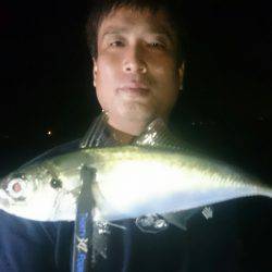 シースナイパー海龍 釣果