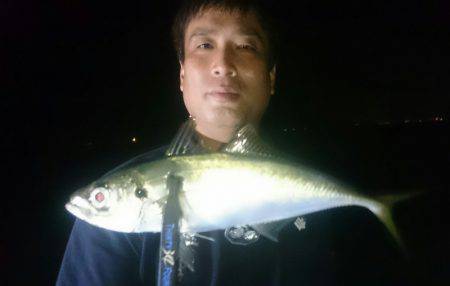 シースナイパー海龍 釣果