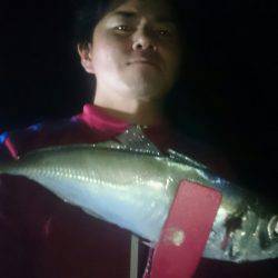 シースナイパー海龍 釣果