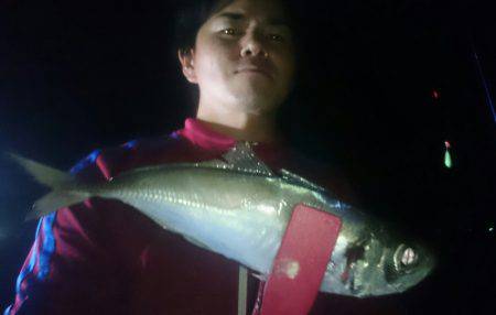 シースナイパー海龍 釣果