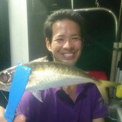 シースナイパー海龍 釣果