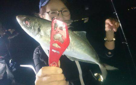 シースナイパー海龍 釣果