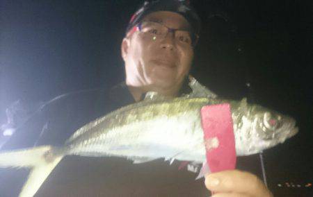 シースナイパー海龍 釣果