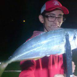 シースナイパー海龍 釣果