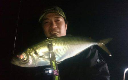 シースナイパー海龍 釣果