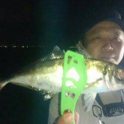 シースナイパー海龍 釣果