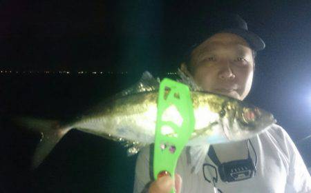 シースナイパー海龍 釣果