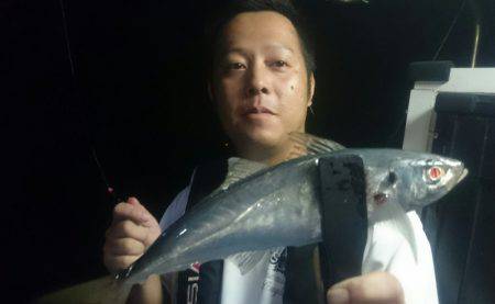 シースナイパー海龍 釣果