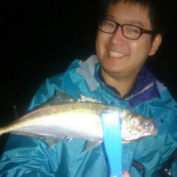 シースナイパー海龍 釣果