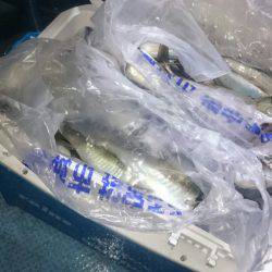 シースナイパー海龍 釣果