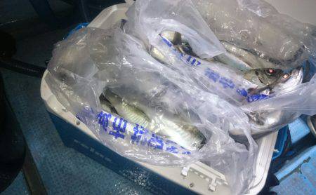 シースナイパー海龍 釣果