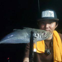 シースナイパー海龍 釣果