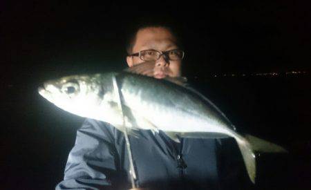 シースナイパー海龍 釣果