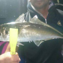 シースナイパー海龍 釣果