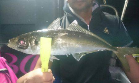 シースナイパー海龍 釣果